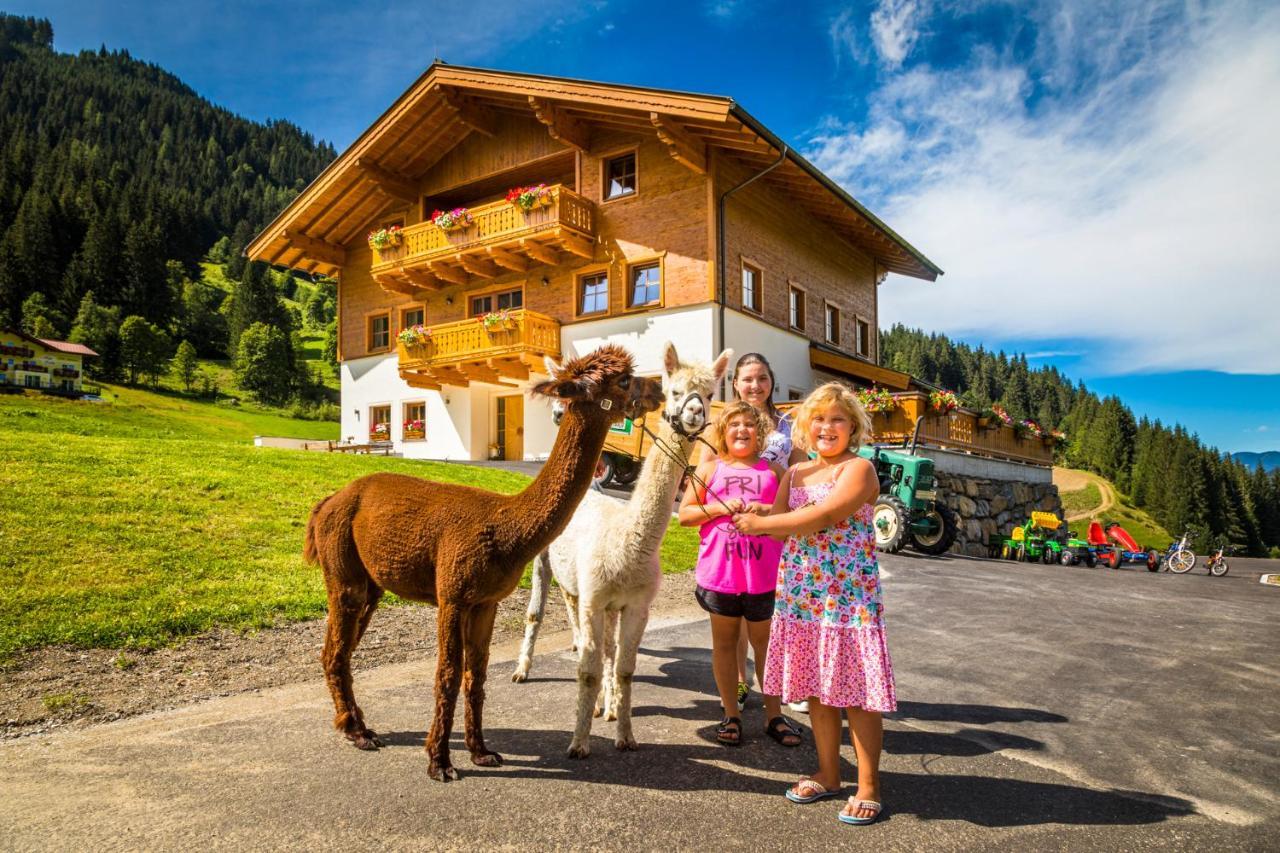 Unterrainhof Villa Kleinarl Exteriör bild
