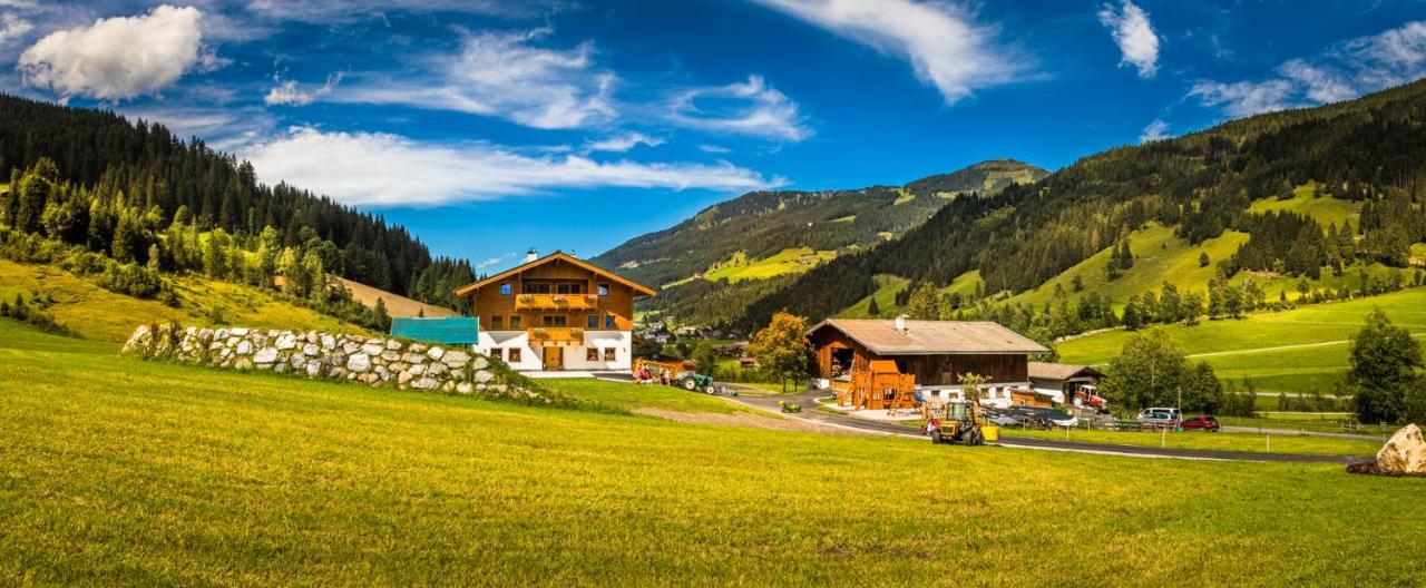 Unterrainhof Villa Kleinarl Exteriör bild